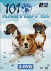101 Nagykutya DVD 2. (DVD)