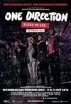 One Direction: Where We Are (Live From San Siro Stadium) (DVD)