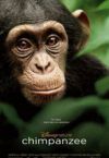 Oscar, a csimpánz (DVD)