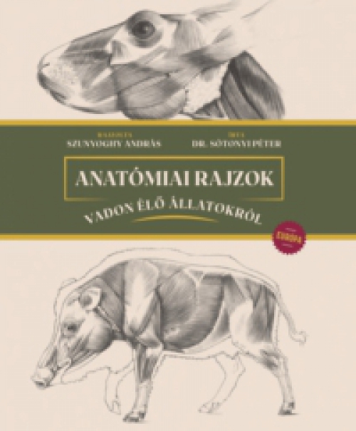 Sótonyi Péter (szerkesztő) - Anatómiai rajzok vadon élő állatokról - Európa