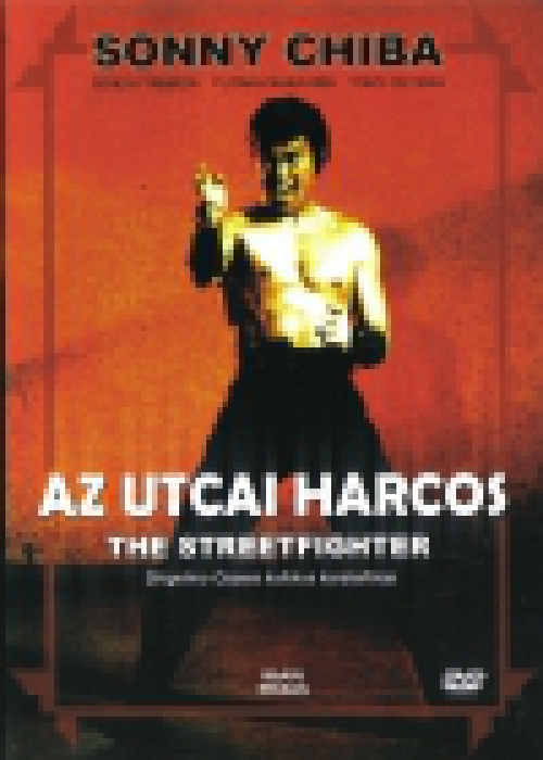 Az utcai harcos (DVD) *Antikvár - Kiváló állapotú*