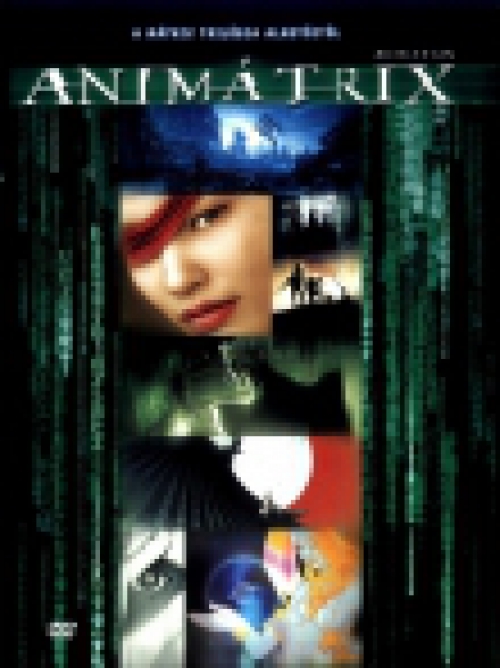 Animátrix (DVD) *Antikvár - Kiváló állapotú*
