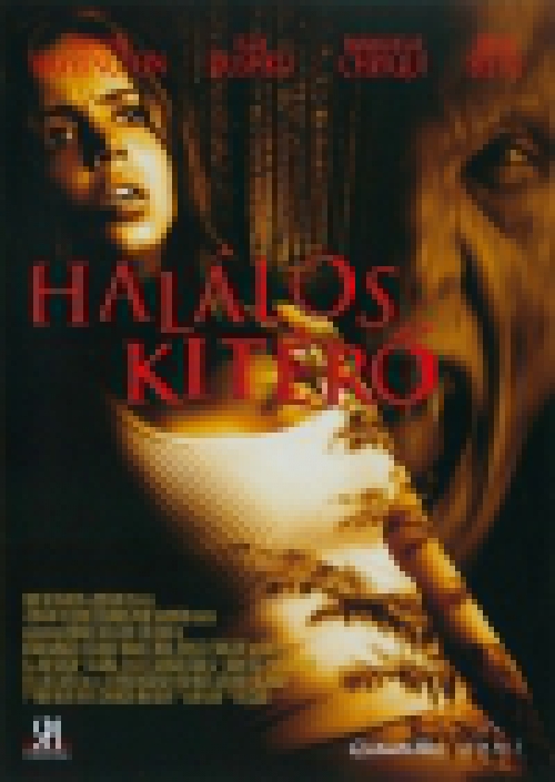 Halálos kitérő (DVD) *Antikvár - Kiváló állapotú*