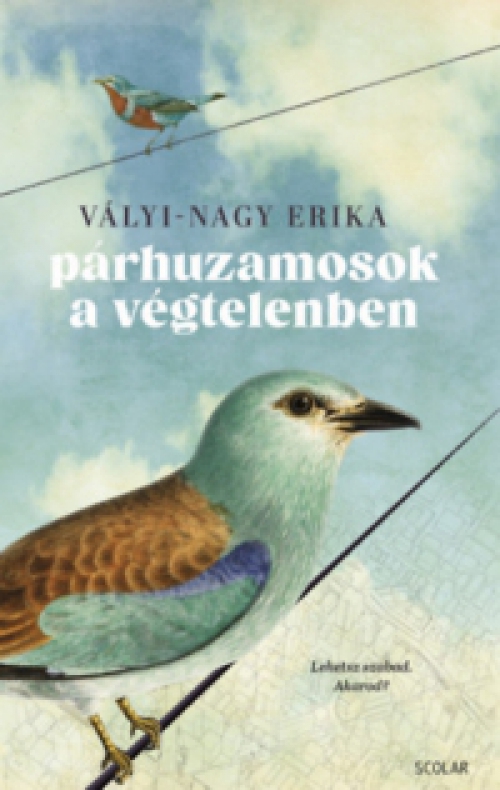 Vályi-Nagy Erika - Párhuzamosok a végtelenben