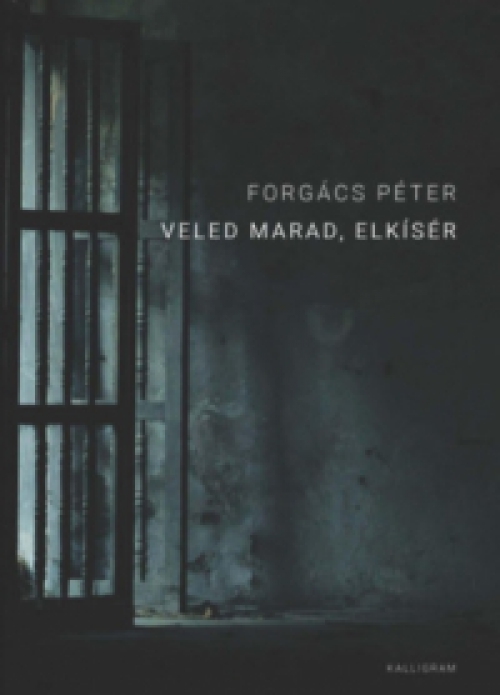 Forgács Péter - Veled marad, elkísér