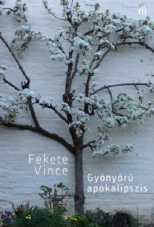 Fekete Vince - Gyönyörű apokalipszis