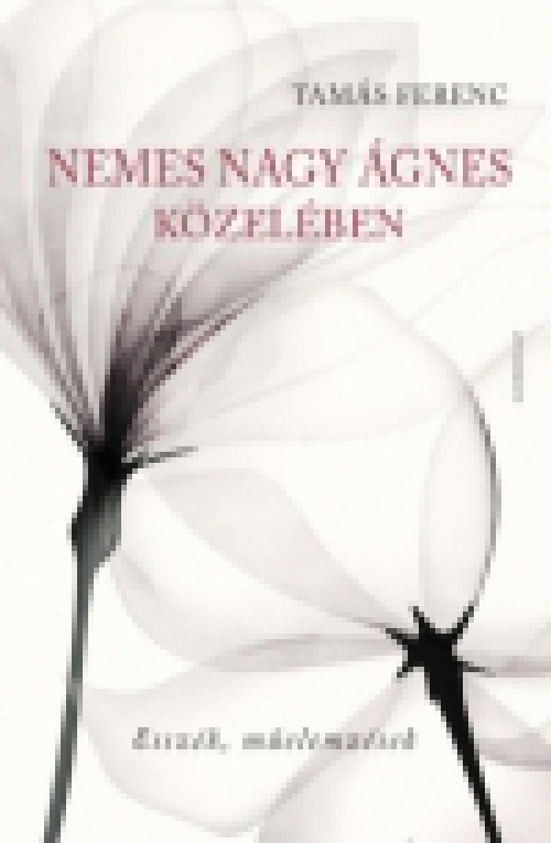 Nemes Nagy Ágnes közelében