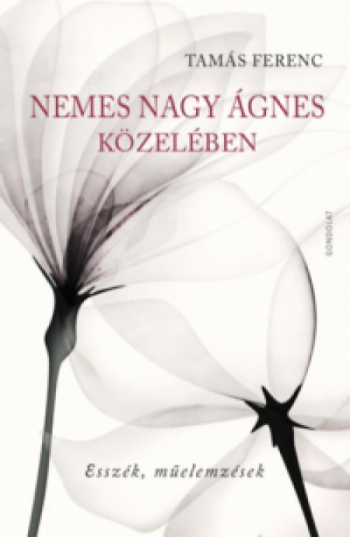 Tamás Ferenc - Nemes Nagy Ágnes közelében