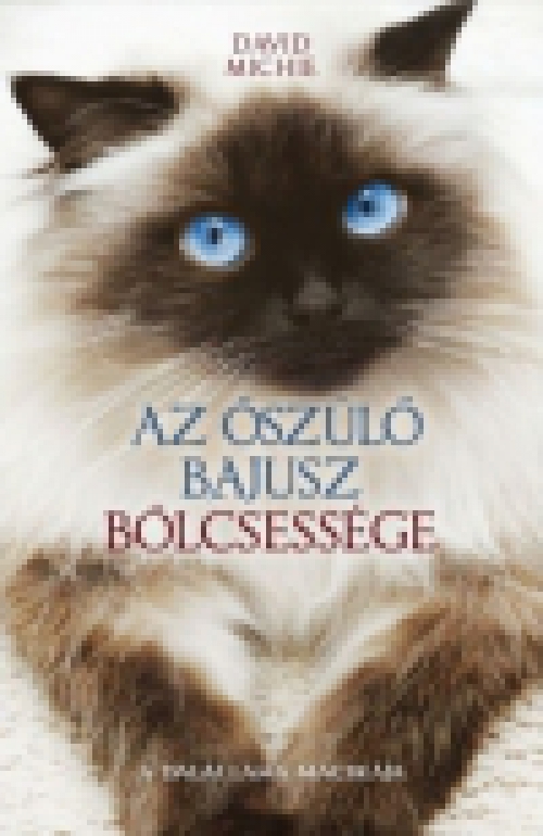 Az őszülő bajusz bölcsessége