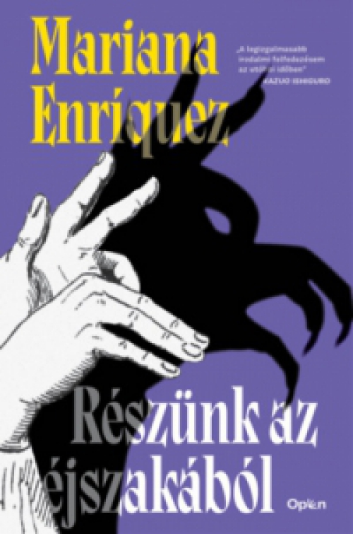 Mariana Enríquez - Részünk az éjszakából