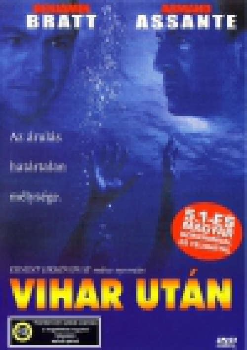 Vihar után (2001) (DVD) *Antikvár - Kiváló állapotú*