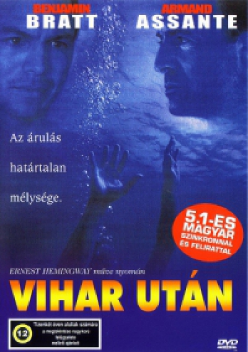 Guy Ferland - Vihar után (2001) (DVD) *Antikvár - Kiváló állapotú*