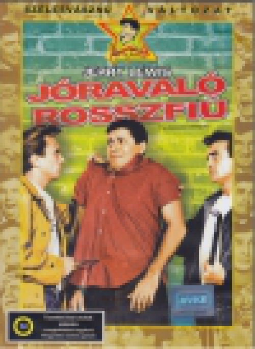 Jóravaló rosszfiú (DVD) *Magyar feliratos* *Antikvár - Kiváló állapotú*