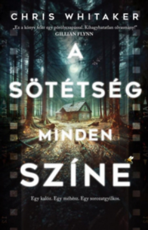 Chris Whitaker - A sötétség minden színe