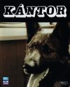 Kántor (1-2) (2 DVD)
