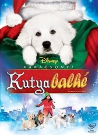 Robert Vince - Karácsonyi kutyabalhé (DVD)