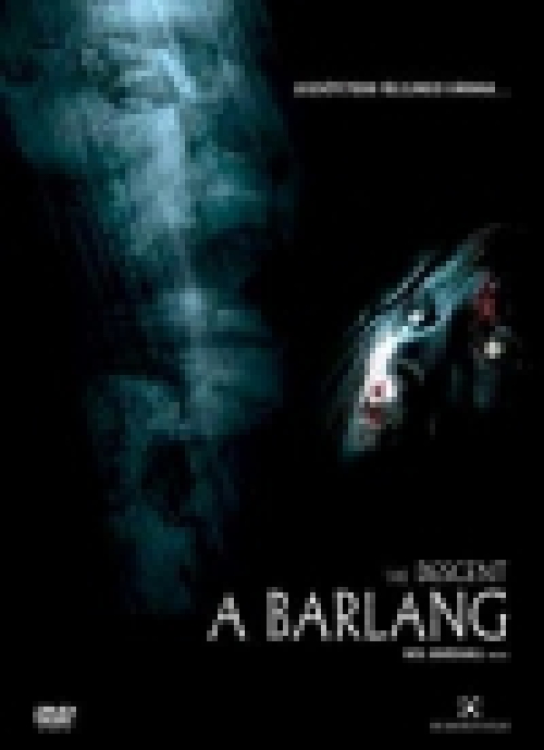 A barlang - The Descent *Neil Marshall* *2005*(DVD) *Antikvár - Kiváló állapotú*