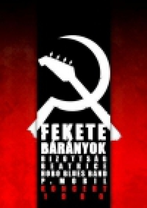 Fekete Bárányok - Fekete Bárányok - Koncert 1980 (DVD) *Antikvár - Kiváló állapotú*