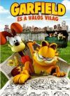 Garfield és a valós világ (DVD)  *Antikvár-Kiváló állapotú*